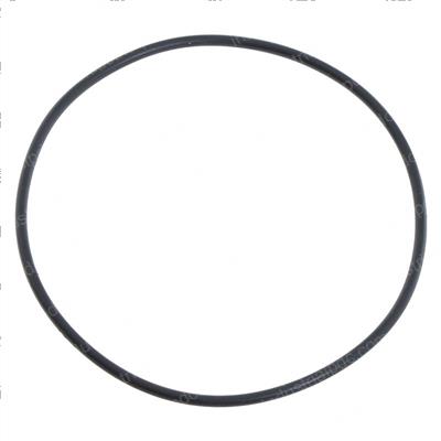 Picture of O-Ring