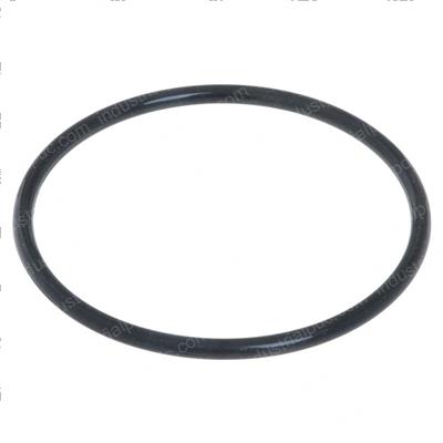 Picture of O-Ring, Water Pump