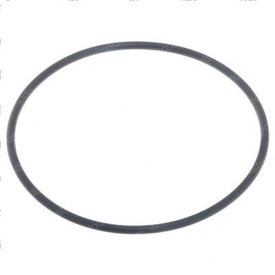 Picture of O-Ring