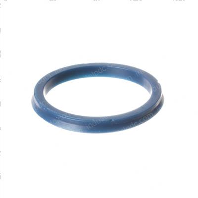 Picture of Seal