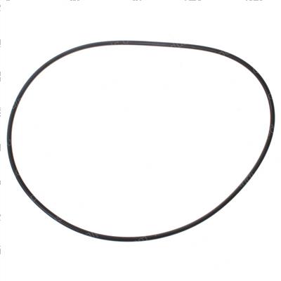 Picture of O-Ring