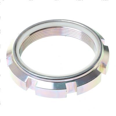 Picture of Slotted Nut