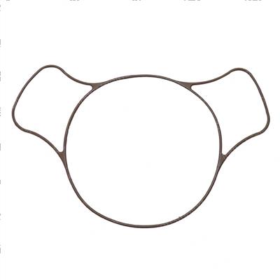 Picture of O Ring Viton