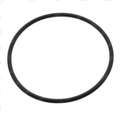 Picture of O-Ring
