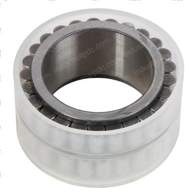 Picture of Cyl Roller Bearing