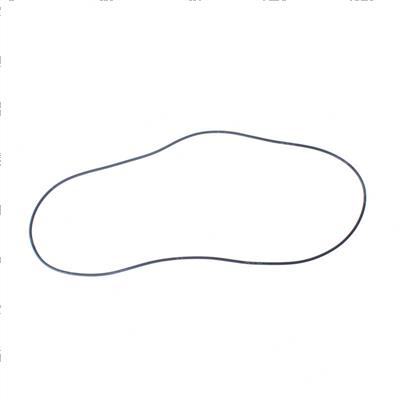 Picture of O-Ring