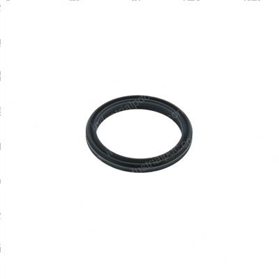 Picture of Sealing Ring