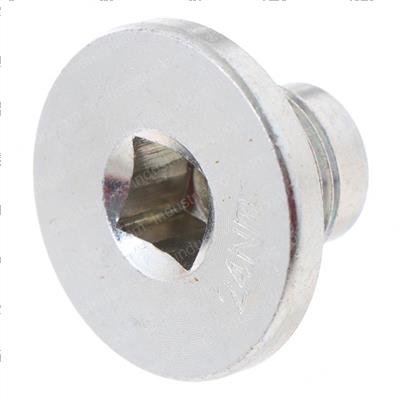 Picture of Plug- Oil Pan