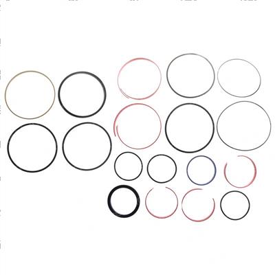 Picture of Seal Kit
