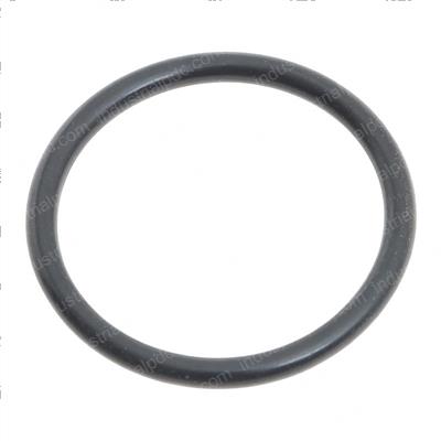 Picture of O-Ring