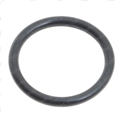 Picture of O-Ring
