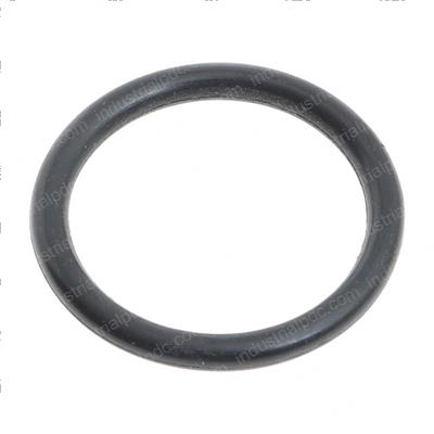 Picture of O-Ring