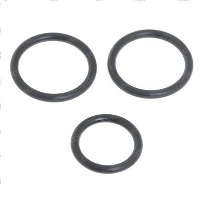 Picture of Seal Kit(inlet Sect.-4640101)