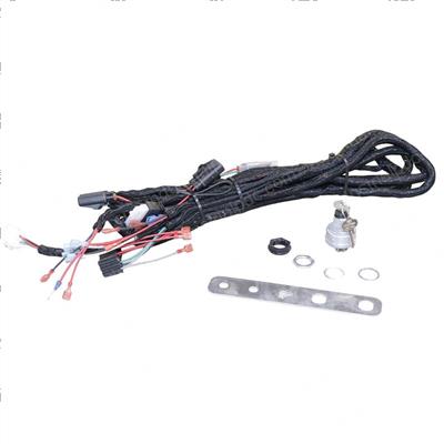 Picture of Kit-Harness and Power Keyswitch