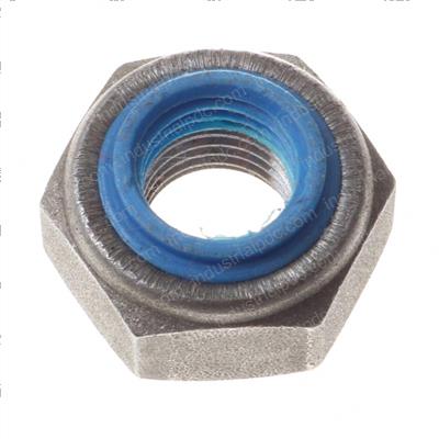 Picture of Nut  Special