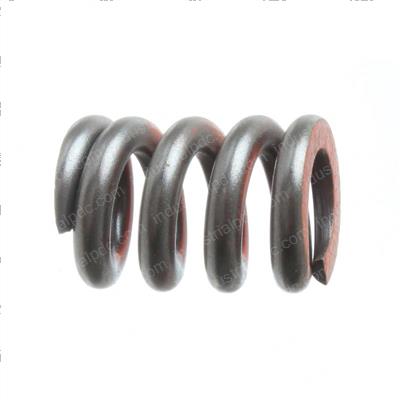 Picture of Spring-Red Mico