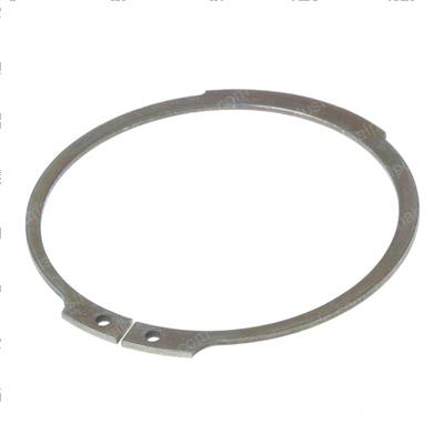 Picture of Ring  Retaining