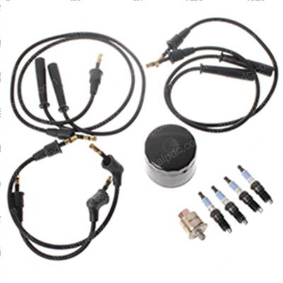 Picture of Tune Up Kit - Ford Vsg-411