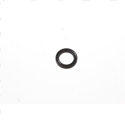 Picture of O-Ring