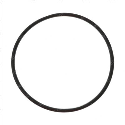 Picture of O-Ring