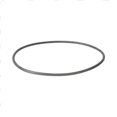 Picture of O-Ring