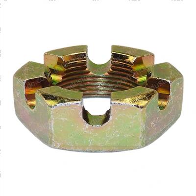 Picture of Nut  Castle