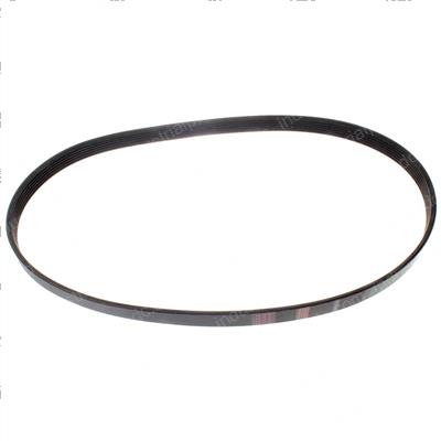 Picture of Belt - Serpentine