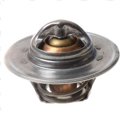 Picture of Thermostat 160 Degrees