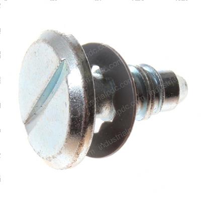 Picture of Screw
