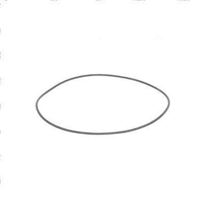Picture of O-Ring