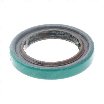Picture of Seal