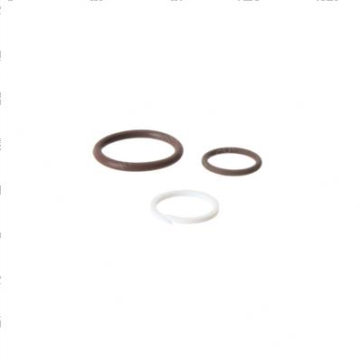 Picture of Seal Kit - Fluorocarbon/Viton