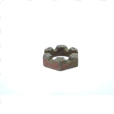 Picture of Nut Castle