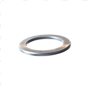 Picture of Bearing Race
