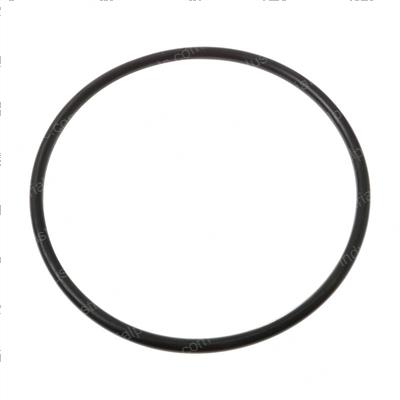 Picture of O-Ring