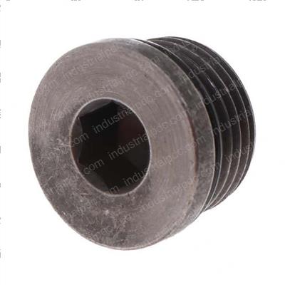Picture of Plug