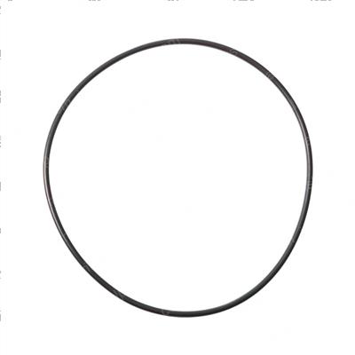Picture of O-Ring