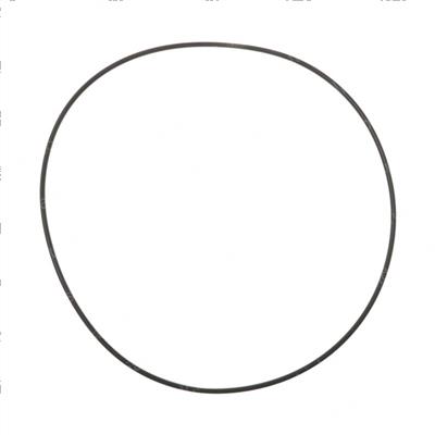 Picture of O-Ring