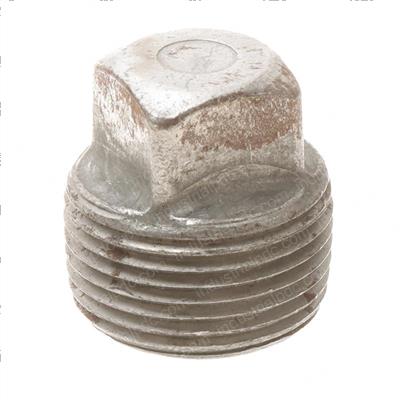 Picture of Plug 1 Npt Magnetic