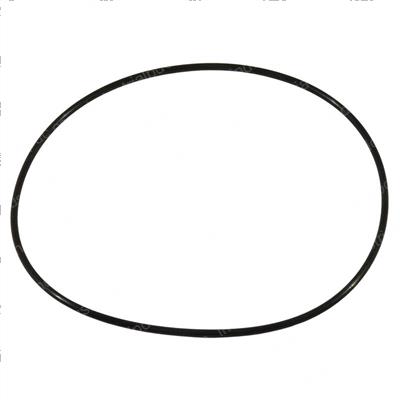 Picture of O Ring