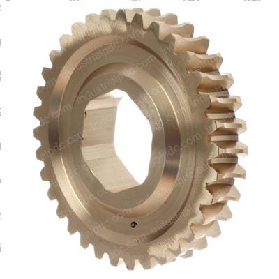 Picture of Gear  Worm