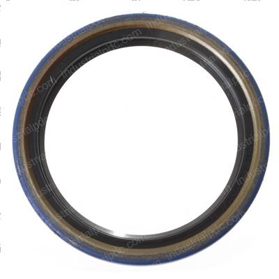 Picture of Seal