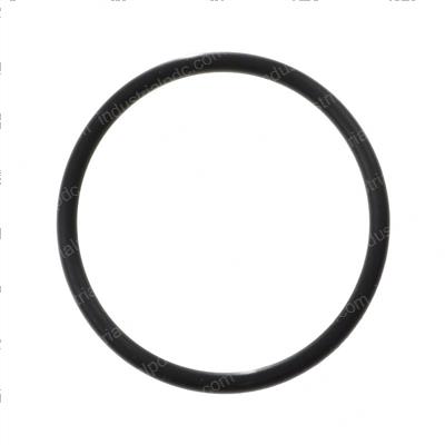 Picture of O-Ring