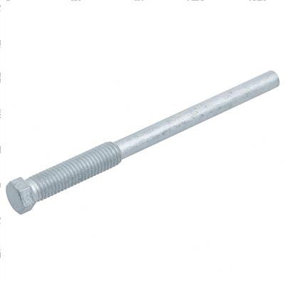 Picture of Bolt