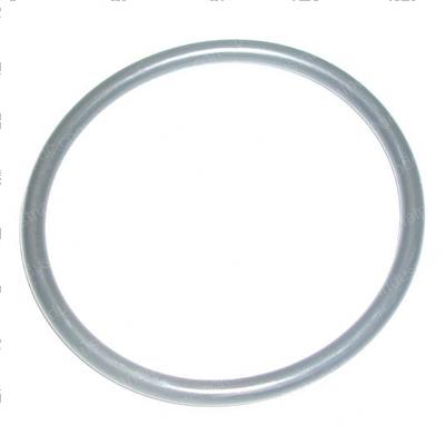 Picture of O-Ring (nsp)