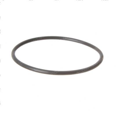 Picture of O-Ring