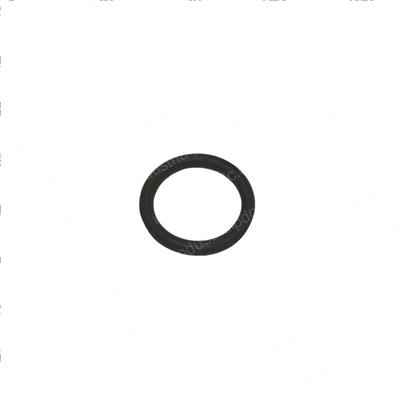 Picture of O-Ring