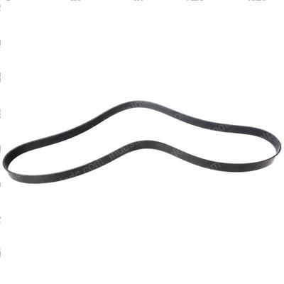 Picture of Belt - Serpentine