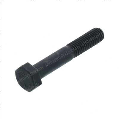 Picture of Bolt
