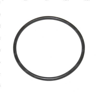 Picture of O-Ring